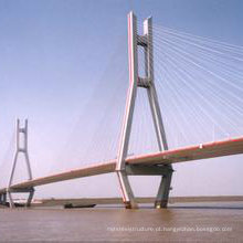 Ponte de Estrutura de Aço de Alta Qualidade da China